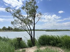 -野鸭湖国家湿地公园