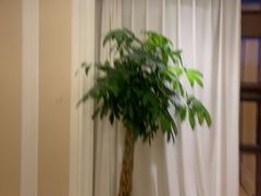 -洛阳宴·洛阳菜(南昌路店)