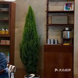 成都新店｜华夫饼专门店Assembo 🧇. ̫ .🧇