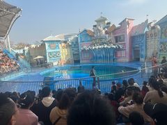 -华夏文旅海洋公园