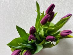 -循礼门鲜花花市(武汉循礼门店)