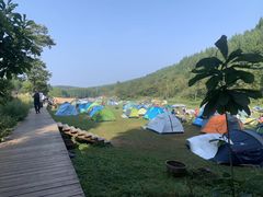 -武陵山森林公园