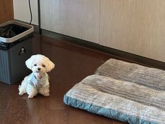 -上海佘山世茂艾美酒店