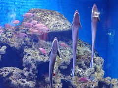 -华夏文旅西安度假区