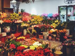 -双季花艺园艺市场(浦东店)