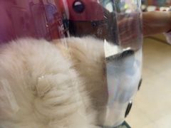 -艾贝尔宠物医院·狂犬免疫点(江山金象城店)
