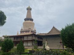 -张掖大佛寺景区