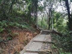 -大雁山风景区