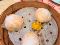 -点都德(水贝IBC店)