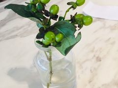 -gaga(深圳福田星河COCO Park店)