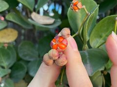 -绿堤公园