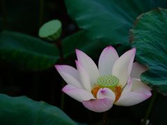 -烈士陵园(地铁站)