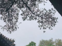 -潭柘寺景区