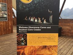 -怀托摩萤火虫洞