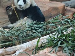 -秦皇岛野生动物园