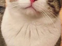 -鸿姐老火锅(静安店)