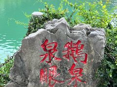 -靖西鹅泉风景区