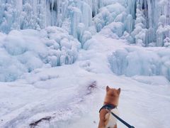 -灵溪风景区