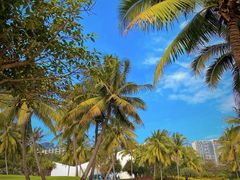 -海南清水湾莱佛士酒店