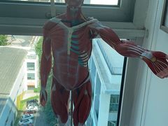 -体博士·疼痛调理·体态矫正·运动康复中心(大望路华贸店)