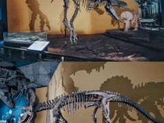 -湖南省地质博物馆