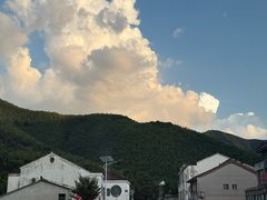 -紫藤园·天目湖大鱼头(南山竹海店)