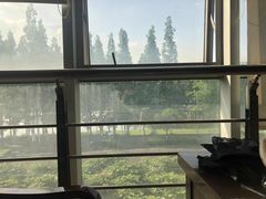 精品毛肚-小王少龙火锅(沙南街店)