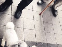 -上海牛羊肉公司塘沽路清真门市部