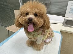 -美美宠物诊疗中心·异宠·骨科(滨江东信分院)