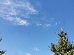 -河北省园博园
