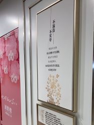 -镁连社·美联社