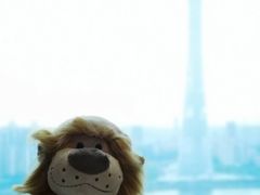 -广州富力丽思卡尔顿酒店