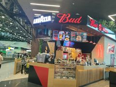 -谢列梅捷沃国际机场