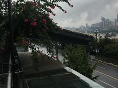 -陶然居·重庆菜(南滨路店)