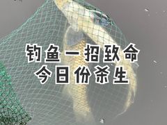 -双新垂钓园