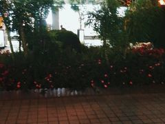 -南屏步行街