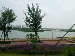 -海宁鹃湖公园