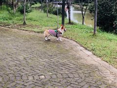 -上海海湾国家森林公园