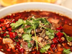 -蝶园·装修中(BFC外滩金融中心店)