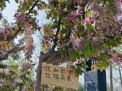-马家湾湿地公园