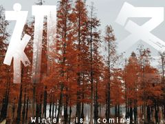 -白鹭湾湿地公园