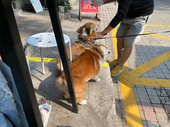 -小梁哥云吞面(黄贝岭店)