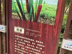 -长广溪湿地公园