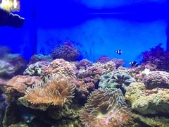 -北戴河圣蓝海洋公园