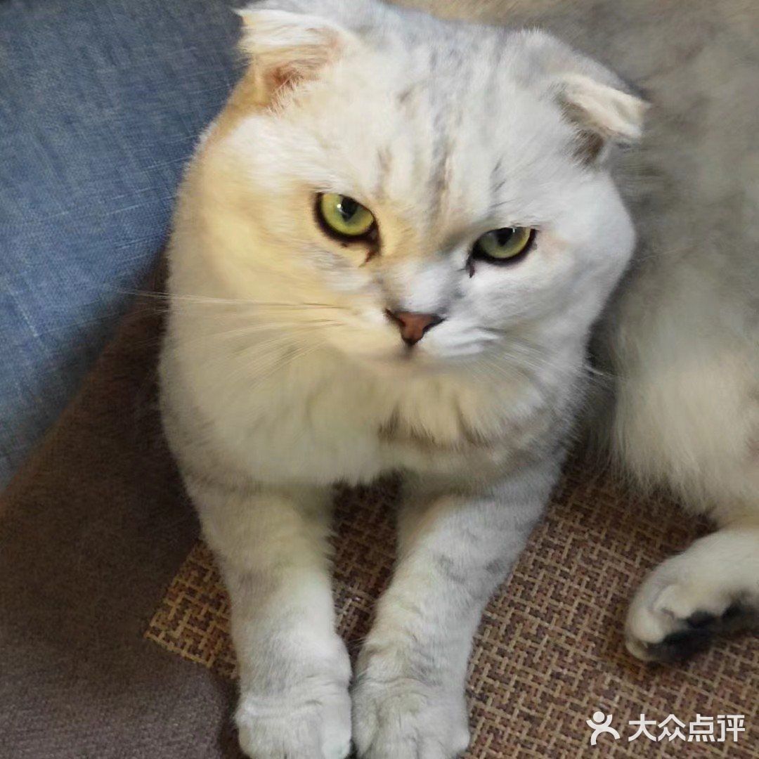 位于小寨东路一又二分之一公寓B座1009 大叔是个爱