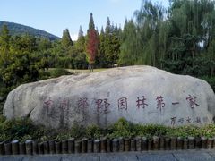 -习家池
