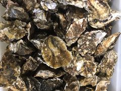 -宾朋海鲜特色美食餐厅·纯手工鲅鱼水饺(兴海路店)