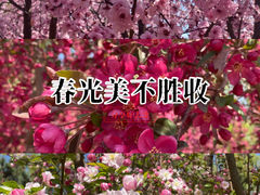 -燕郊植物园