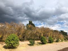 -抚仙湖禄充风景区