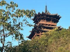 -杭州半山国家森林公园